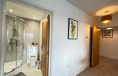 C3717, Luxury 2 bedroom flat in Wembley - Foto 37