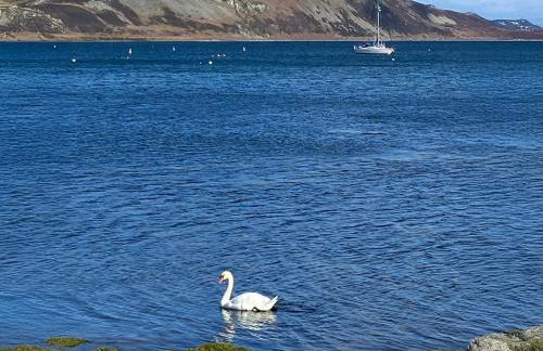 Cosy Cottage - Photo 21