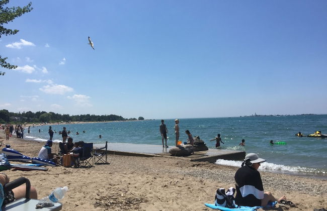 The Shores - Foto 40