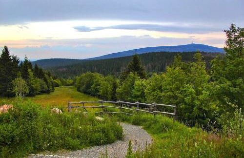 HIRSCH Hänsel Ferienhaus Garten mit Bergblick - Grill -Wald - Foto 44