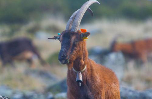 Getaway Home - Foto 63