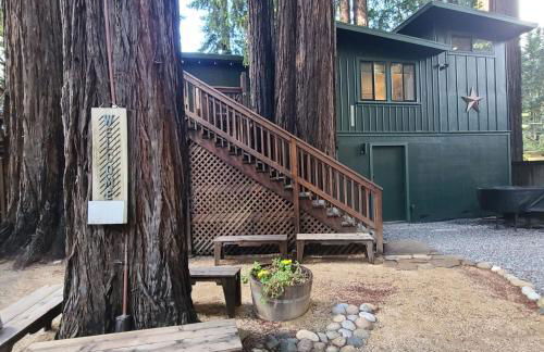 Dhyana Redwoods Fire Table Nearby River Access Ping Pong & Arcade Games - Foto 2