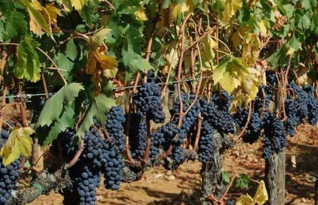 Duplex Apartment Close The Countryside Of Rome 5 - Foto 11