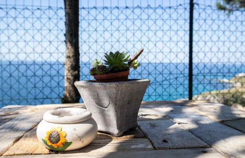 Ville Pini e Aurelia - Foto 10