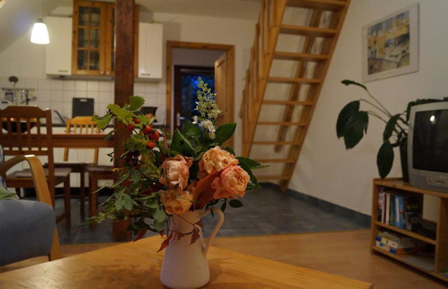 Dorotheenhof - Foto 12