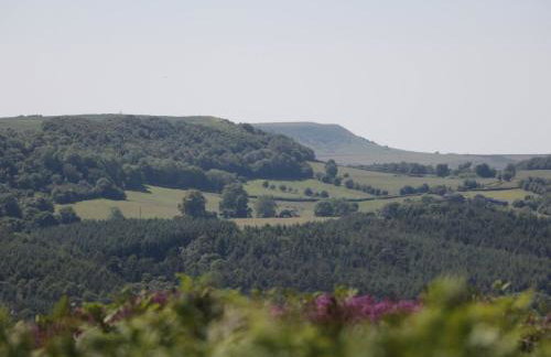 Millers Cottage - Photo 25