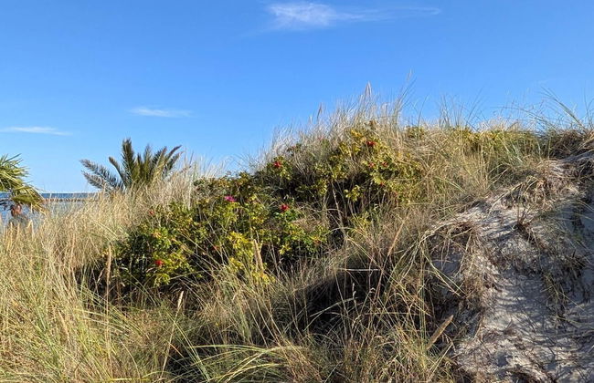 6 Person Holiday Home in Frederikshavn-by Traum - Foto 4