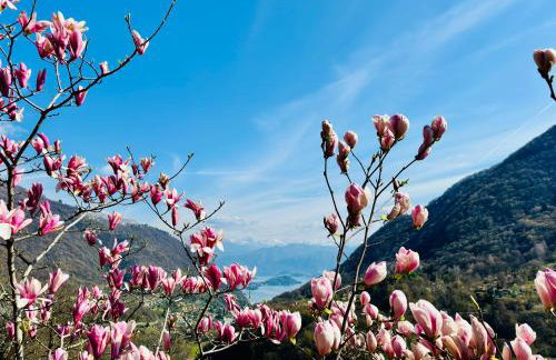 Villa Oleandra with Garden&Swimming pool - Foto 1