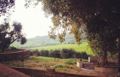 Fattoria Tolomei - Foto 17