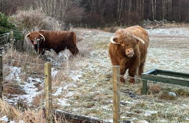 Kalern Studio - Foto 23