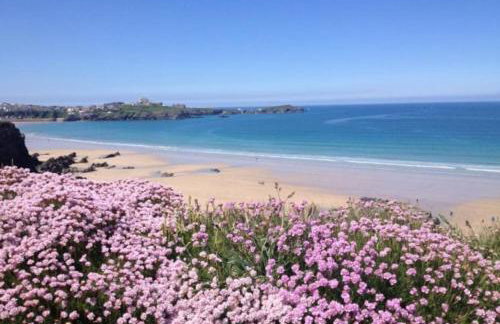 Lodges in Lanivet Cornwall with indoor pool - Foto 47