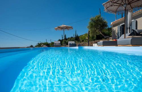 Tree of Life - Foto 12