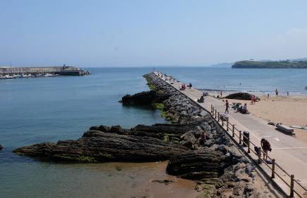 Playa de la palmera - Foto 24