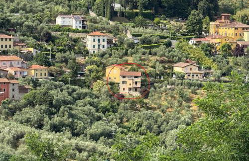 Renovated Tuscan Home overlooking Vineyards - Photo 8