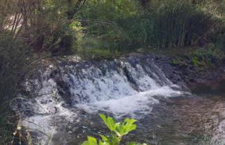 Mi casica de Bogarra - Foto 21