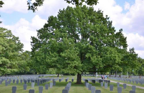 Horizons du Haut - Foto 26