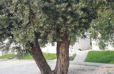 Astrum Luxury Suites - Foto 3