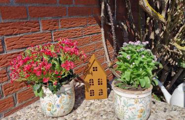 Haus-Fehmarn-am-Dorfteich-|-Wohnung-2-West - Foto 13