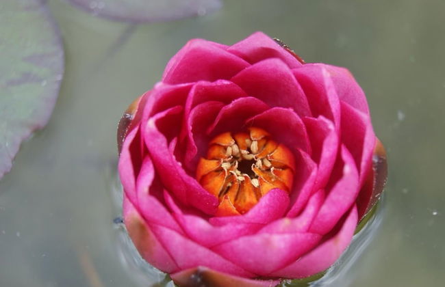 Ferienwohnung Genner Kitzbühel - Foto 19