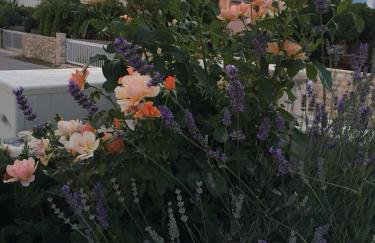 Miro Apartmani - Photo 65