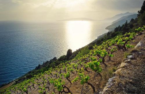 Apartment Matijas - Foto 75