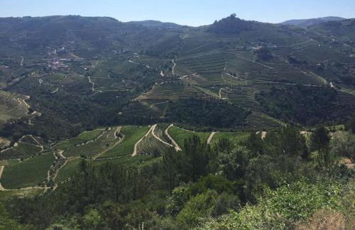 Casa do Vale - DOURO - Foto 66