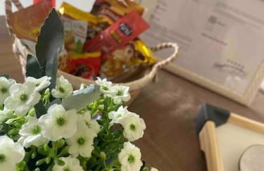 Apartamento próx a uopeccan - Foto 6