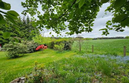Chalet in Freilingen Blankenheim mit Seenähe mitten in der Natur - Photo 26