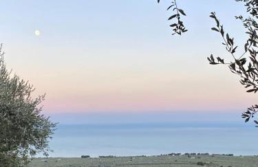 Villa in Gargano - VILLA BASSO - Foto 64