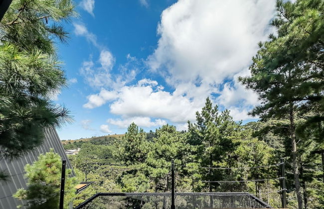 Chales Naturale - Campos do Jordão - CNA - Foto 24