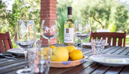 Patio House - Photo 3