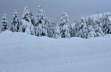 ElleCi Casa Vacanze - Photo 8