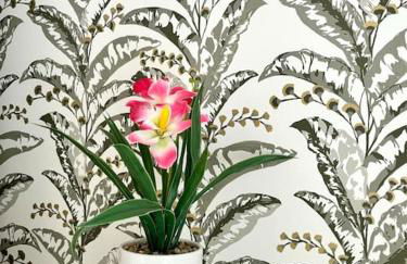 Green House Rome - Foto 18