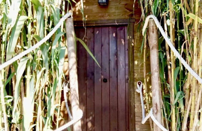 Villas La Ahumada - Photo 65