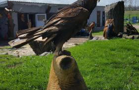 Ferienwohnung Finja in Putgarten, Kap Arkona Rügen - Foto 26