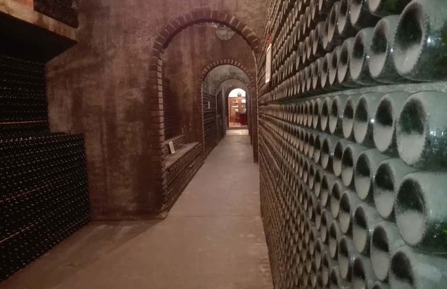 Bairrada Wine Region Tour - Photo 5