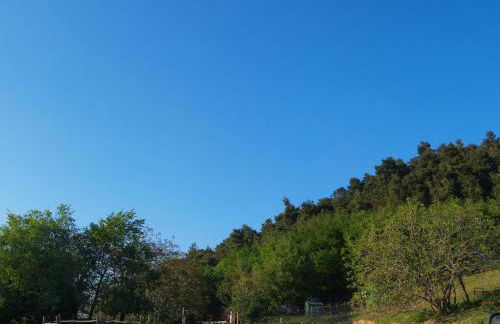 Agriturismo Becerca Vegan - Foto 56