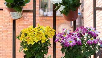 ACE Z12 Apartamento Céntrico Bilbao 3 Pax - Parking gratis - Foto 3