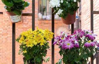 ACE Z12 Apartamento Céntrico Bilbao 3 Pax - Parking gratis - Foto 3