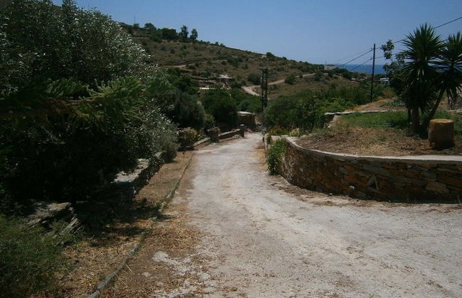 Elea Koundouros - Foto 28