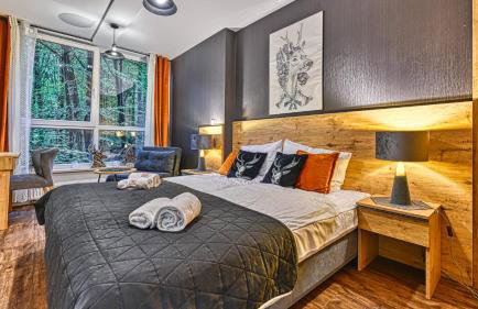 Apartament SPA 10 Resort Kozubnik blisko Szczyrk - 5D Apartments - Foto 22