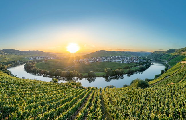 Holiday Home in Longkamp With Garden - Foto 39