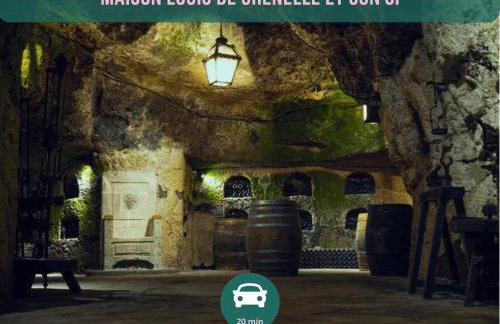 CENTER PARCS à 5min - Idéal Familles & Groupes - 3 parkings - Piscine - Jardin clos - Au calme - Châteaux de la Loire - Foto 79