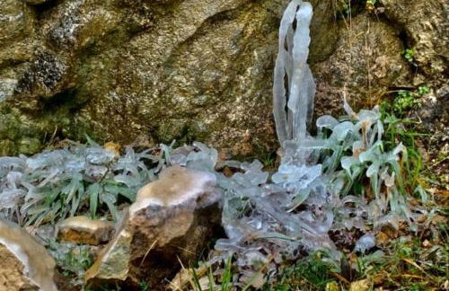 El Rincón de BeBa - Foto 24