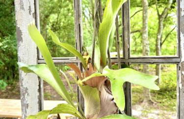 Couples Cottage - Serene Getaway - Foto 51