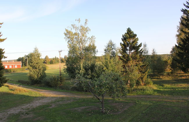 Happy Hudiksvall - Photo 69