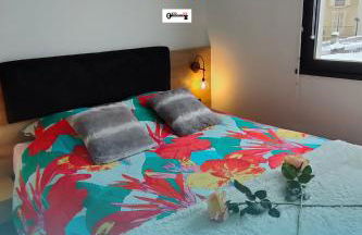 Magnifique 3 étoiles en hyper centre avec place privée - Foto 1