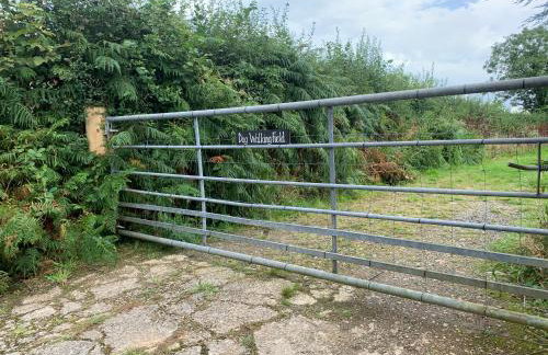 Field View - Foto 29