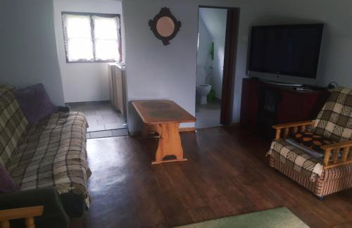 Agrowczasy u Bartka - Foto 19