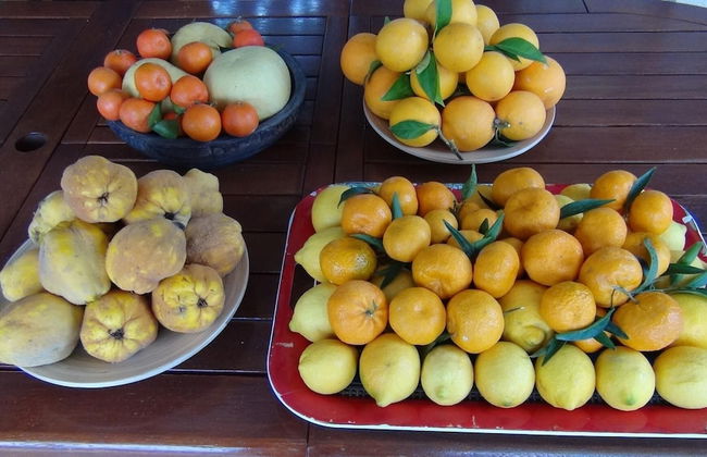 Panorama Villa Sea View - Foto 63